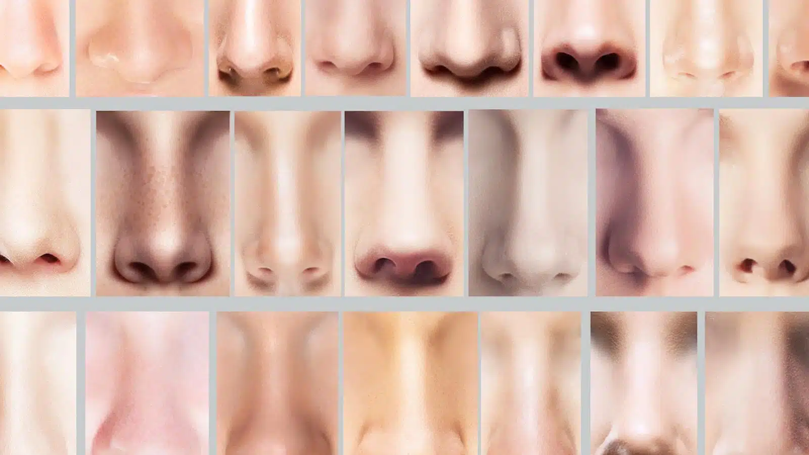 Les différentes formes de nez : un aperçu complet des variations nasales
